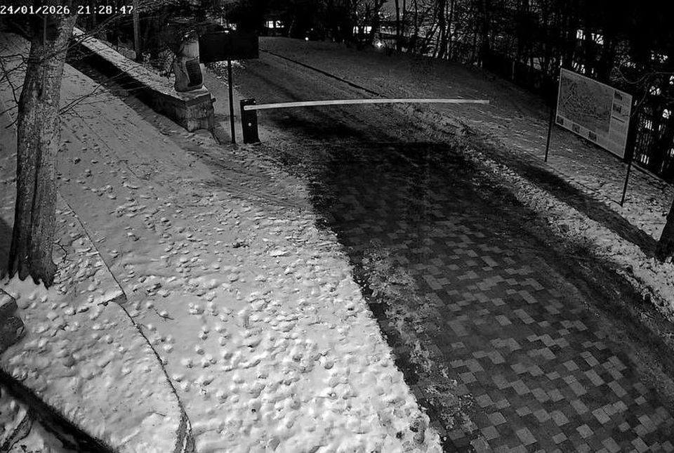 Терренкур в Железноводске закрыли из-за наледи на деревьях0