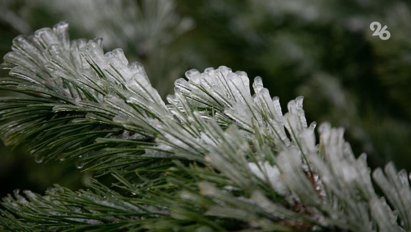 Терренкур временно закрыли в Железноводске из-за обледенения