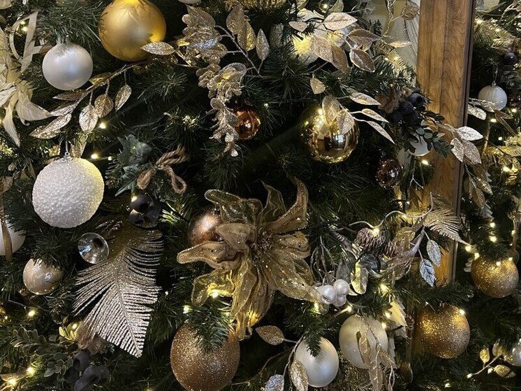 Ученые Ставрополья предупреждают: салюты наносят серьезный вред популяции птиц