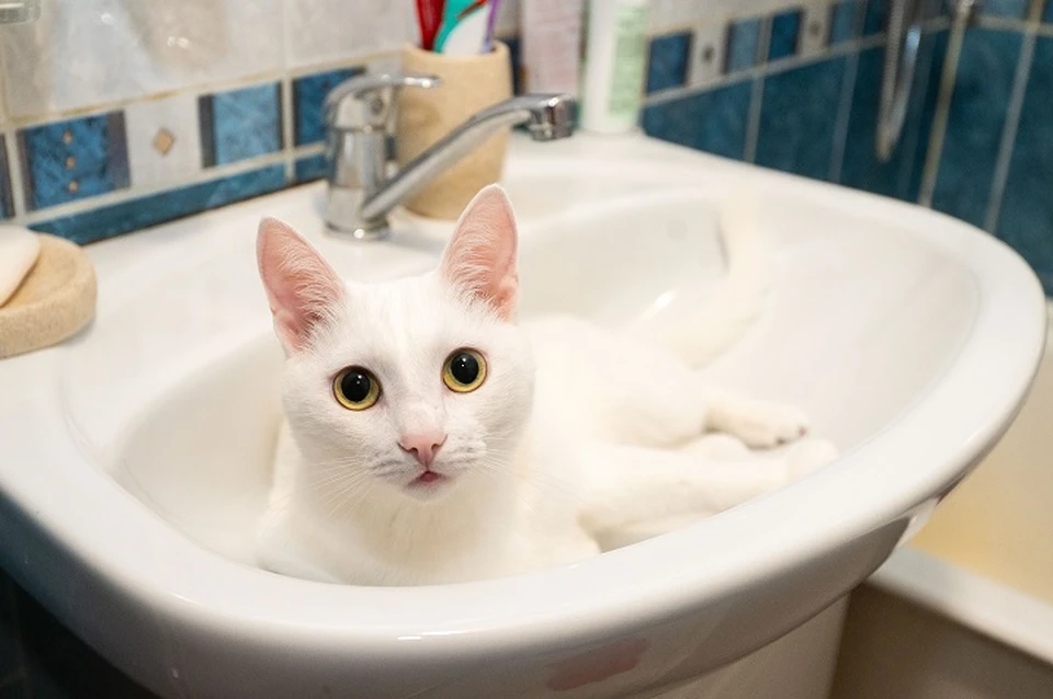 В 11 населённых пунктах Петровского округа Ставрополья пропала вода из-за аварии0