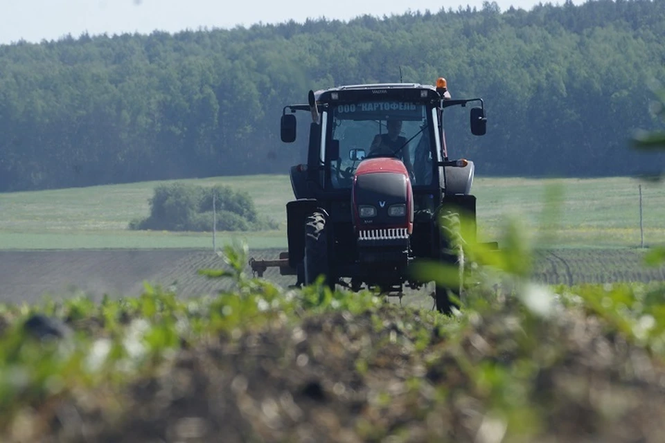 В Дагестане четыре ветерана СВО получили агрогранты на развитие своего дела0