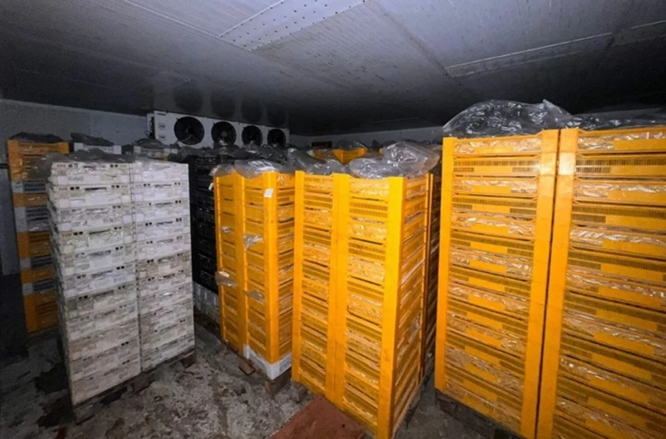 В Дагестане уничтожили десять тонн рыбы неизвестного происхождения0