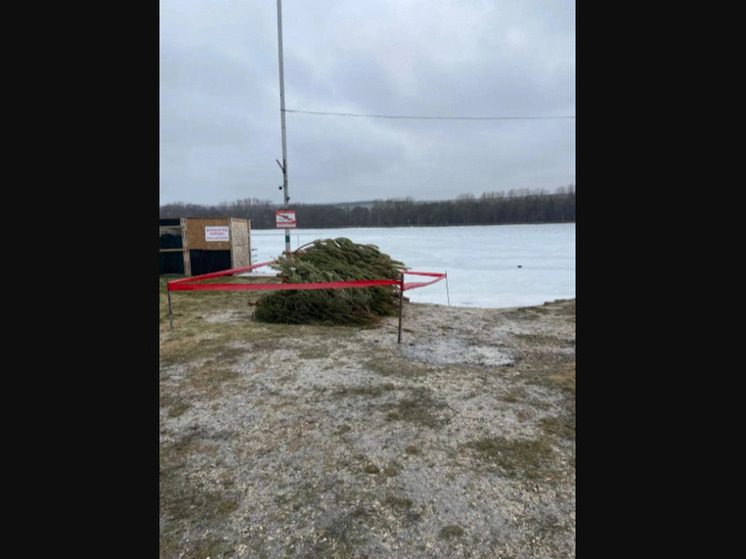 В Ессентуках можно экологично утилизировать новогодние ёлки для крещенского костра