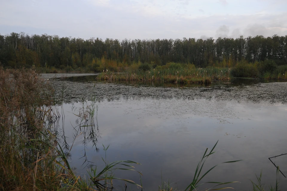 В Кисловодске объяснили помутнение воды в реке Березовка0