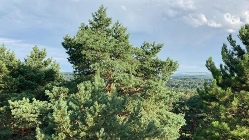 В Кисловодске стартует «Эколето» для школьников