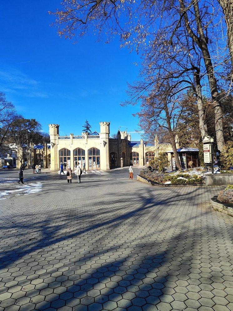 В Кисловодске за последние пять лет сумма поступлений в бюджет от нестационарных мест торговли возросла более чем на 610%