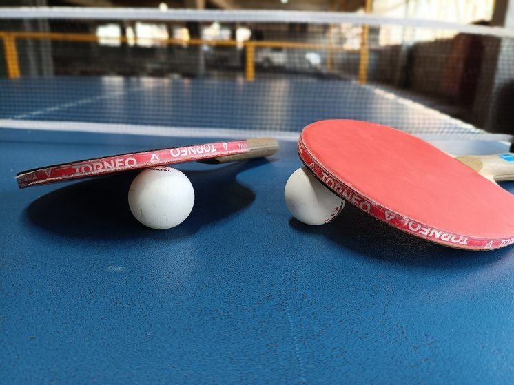 В Новоселицком округе Ставрополья исполнили мечту юного теннисиста