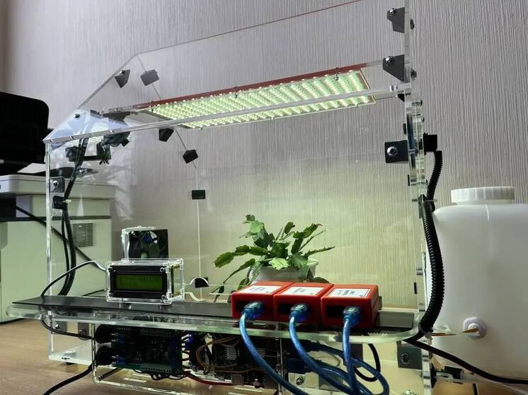 В ставропольской сельской школе появилась «умная теплица»