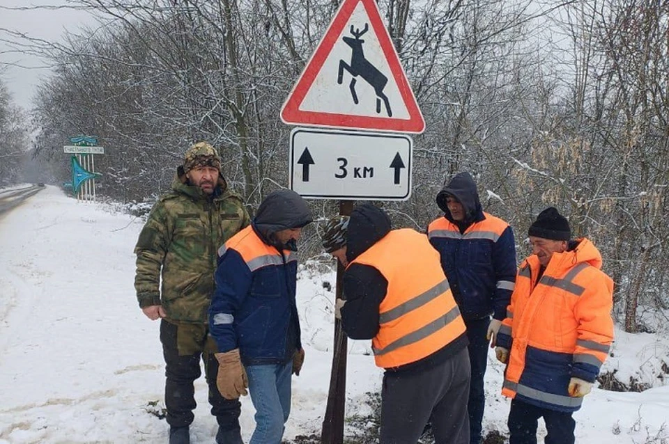 Водителей в Дагестане предупреждают о выходе диких животных на проезжую часть0