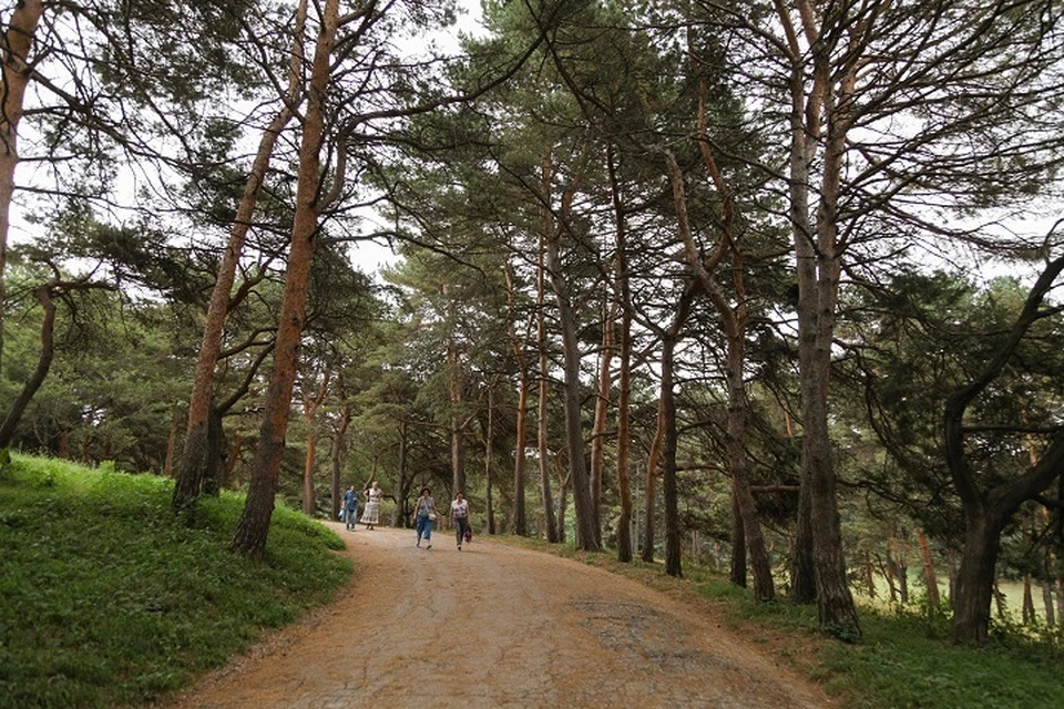 Возле Лермонтовской скалы в Кисловодске построят туристическую деревню0