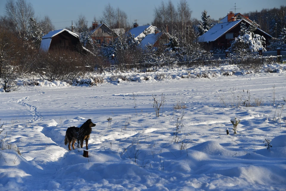 Всадник, Прогресс и Широкий Камыш: Билайн запустил 4G интернет в 55 небольших населенных пунктах Ставропольского края0