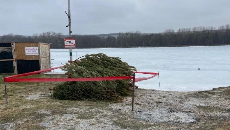 Жителям Ессентуков предлагают утилизировать новогодние ёлки в крещенском костре