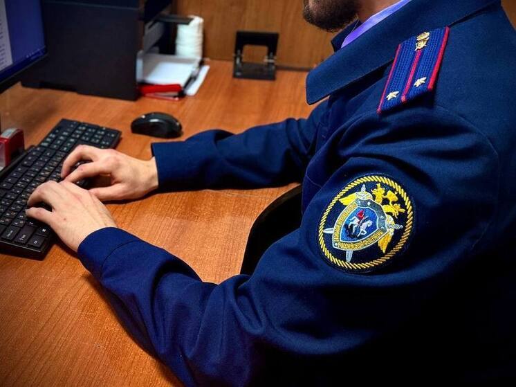 Жительница Ингушетии по указанию экс-сотрудника полиции подбросила знакомому наркотики