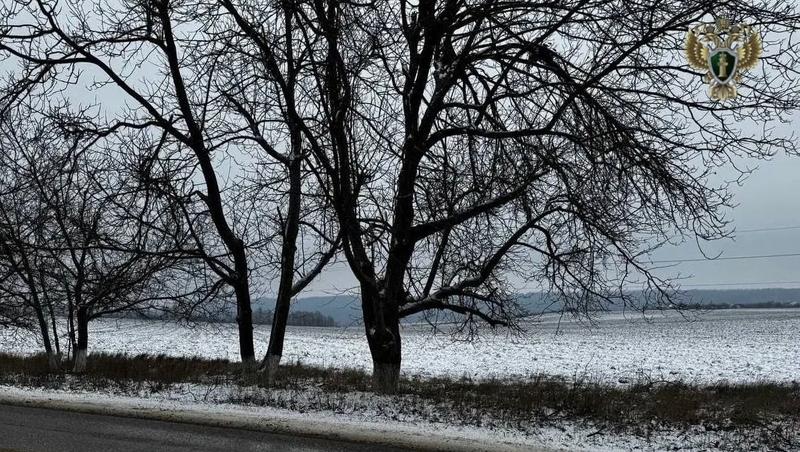 3 га земли Предгорья вернут муниципалитету по требованию прокурора