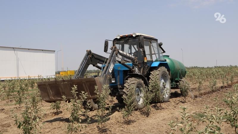 97% посевов озимых на Ставрополье после морозов находятся в хорошем состоянии