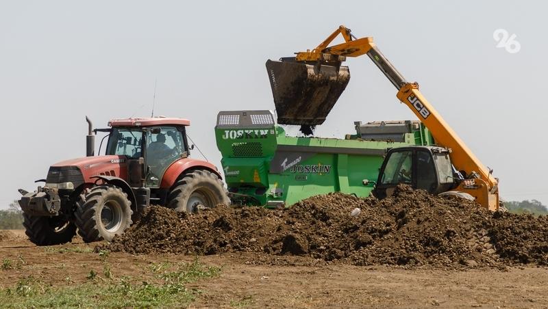 Аграрии Ставрополья получат господдержку на развитие селекций и скотоводства