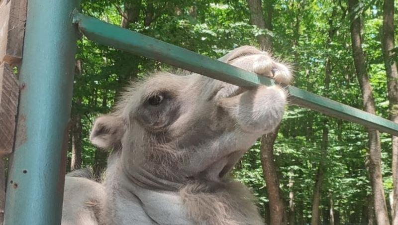 Астраханская область поднялась в рейтинге турпотенциала России до 47-го места