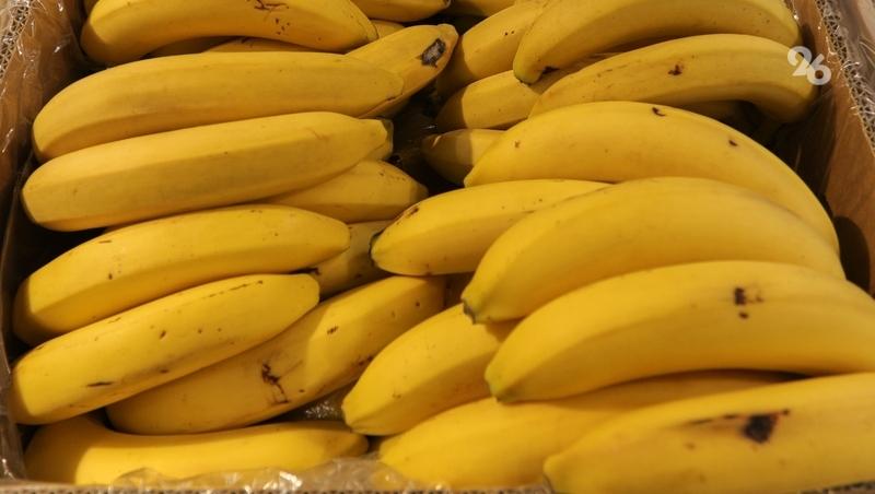 Банановый комплекс появится на Ставрополье – губернатор Владимиров