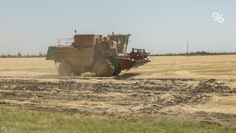 Более 40 тыс. га предстоит засеять аграриям Кочубеевского округа
