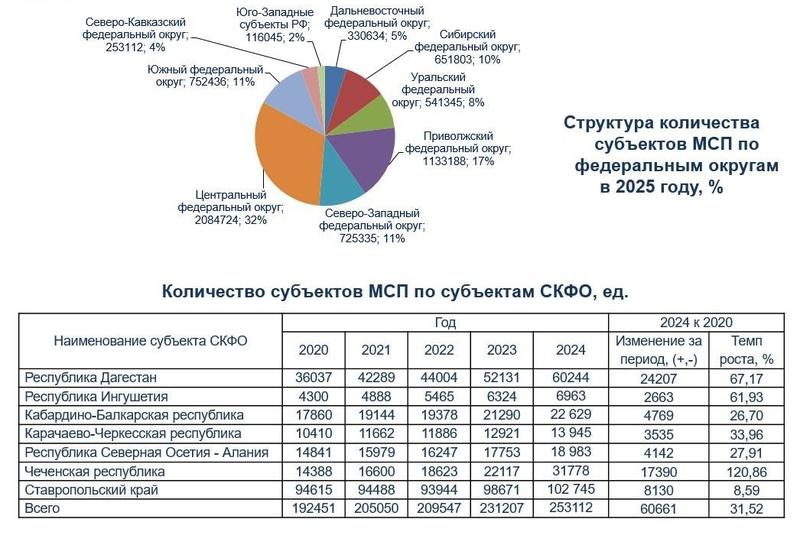 Число малых предприятий на Северном Кавказе выросло на 41% за пять лет