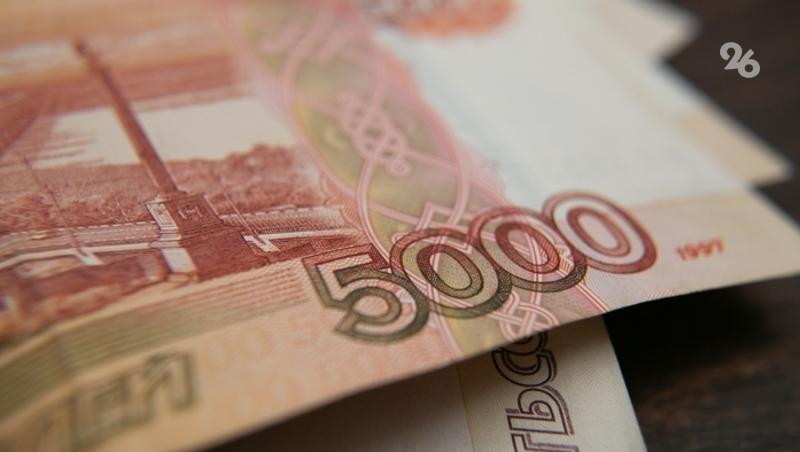 Домработницу с подругой подозревают в краже денег у работодателя на Ставрополье