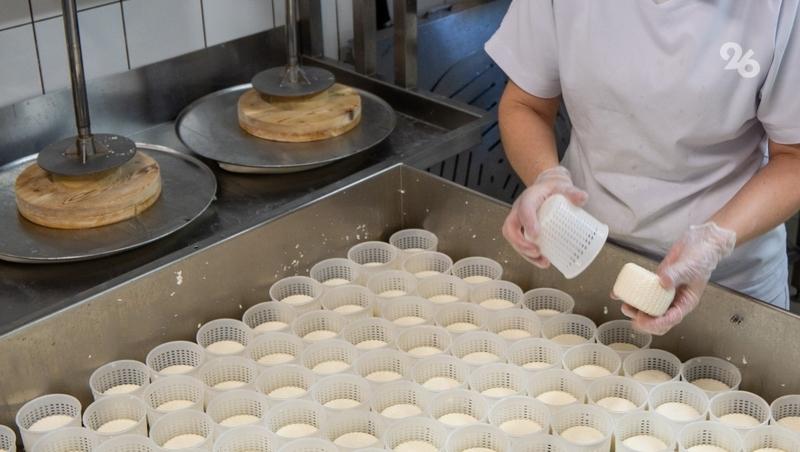 Экспорт молочной продукции вырос вдвое на Ставрополье за 2025 год