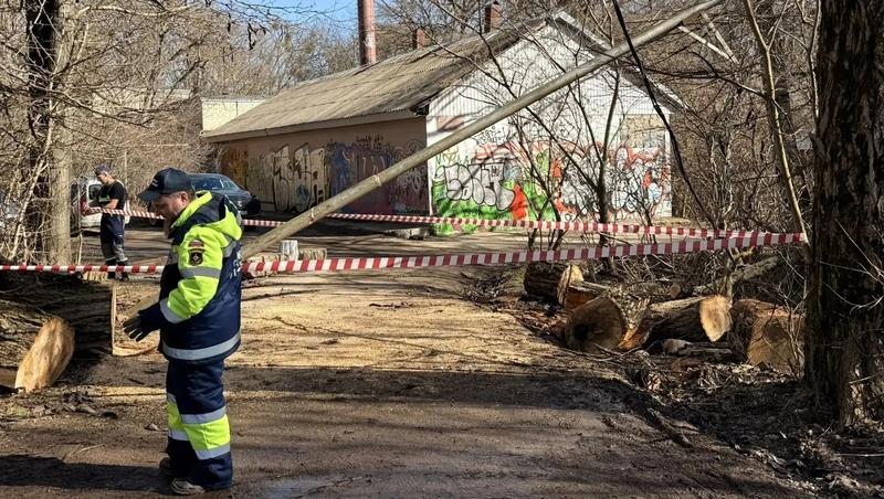 Экстренные службы отработали 55 заявок после сильного ветра в Ставрополе