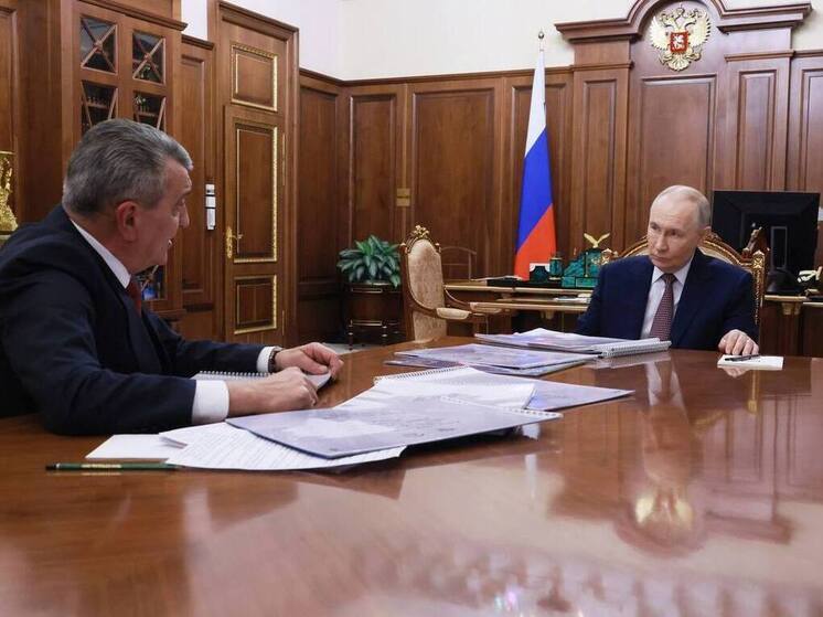 Глава Осетии обсудил с Владимиром Путиным вопросы поддержки бойцов СВО и крупные инвестпроекты