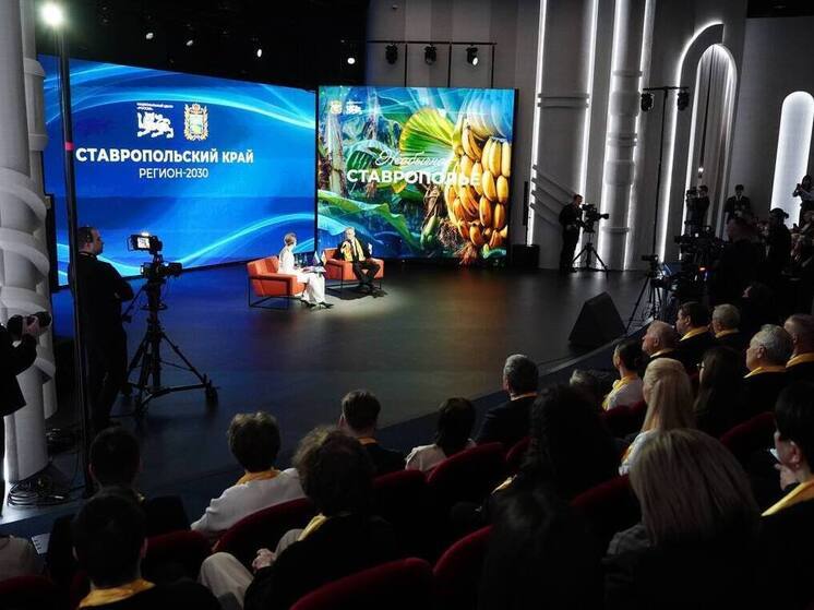  Губернатор Владимиров: «Наша задача – создать на Ставрополье туристский комплекс мирового уровня»