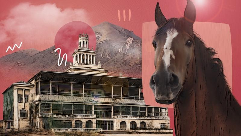 «Легендарное место»: от кого зависит дальнейшая судьба Пятигорского ипподрома?