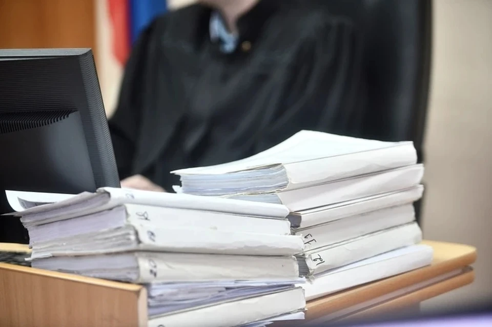 На Ставрополье осудят мужчину, расстрелявшего собак на глазах ребенка0