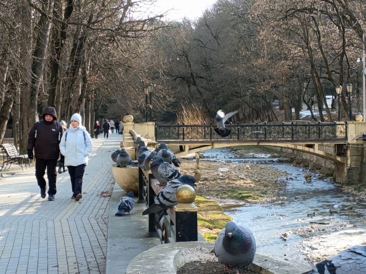 На Ставрополье в 2026 году планируется реализация 32 проектов в сфере туризма и оздоровления