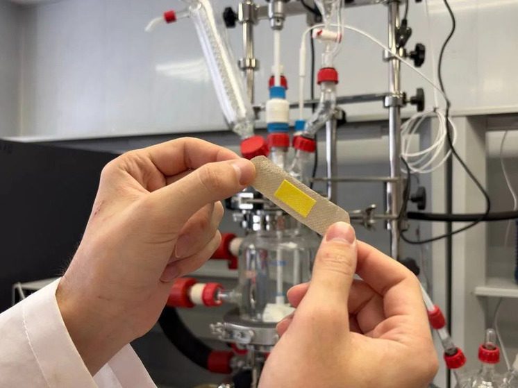 Нанотехнологичный прорыв: ставропольский студент разрабатывает ранозаживляющий пластырь