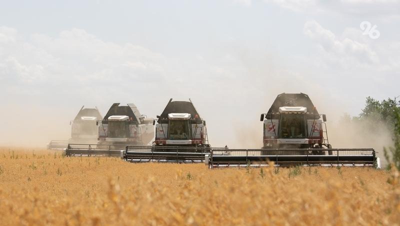 Первая азотная подкормка озимого клина стартовала на Ставрополье