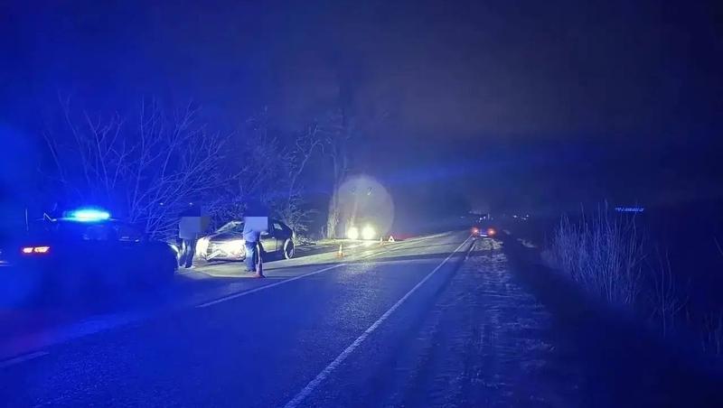 Пьяная велосипедистка попала под колёса иномарки на трассе в Кочубеевском округе