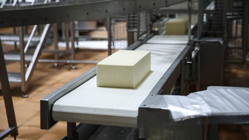 Рецептуру полезного твёрдого сыра разрабатывают на Ставрополье