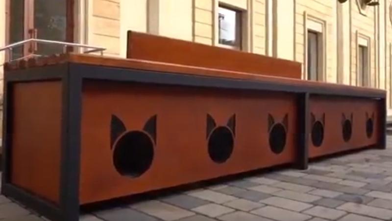 Шесть модульных домиков для кошек установили на улицах Дербента