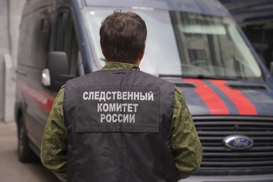 СКР возбудил уголовное дело после избиения студентки в Ставрополе0