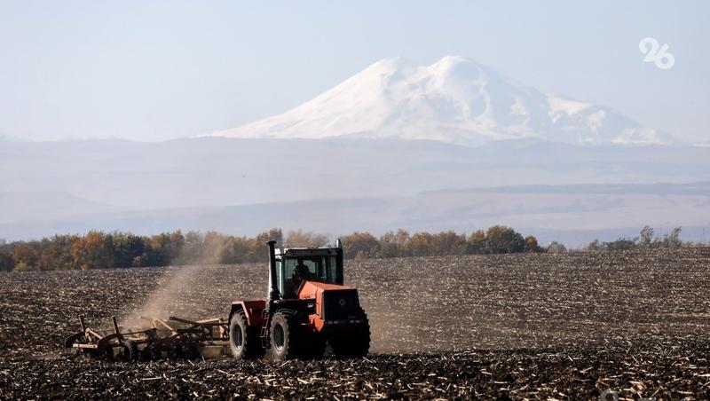 Ставрополье благодаря губернатору остаётся &laquo;житницей страны&raquo; &mdash; политолог Нечаев