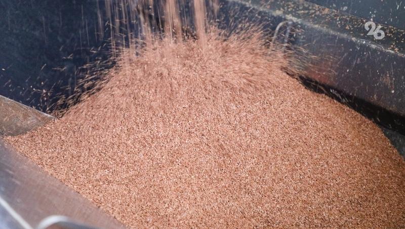 Ставрополье заготовило к весенней посевной 84% семян и 210 тыс. т удобрений