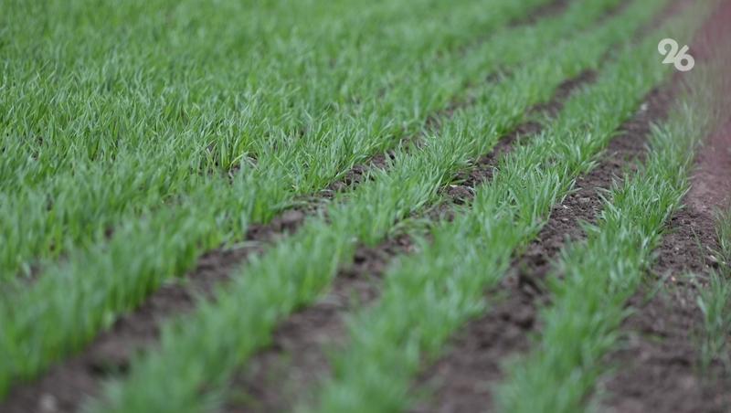 Ставропольские аграрии заготовили к весне 44% от нужного объёма удобрений