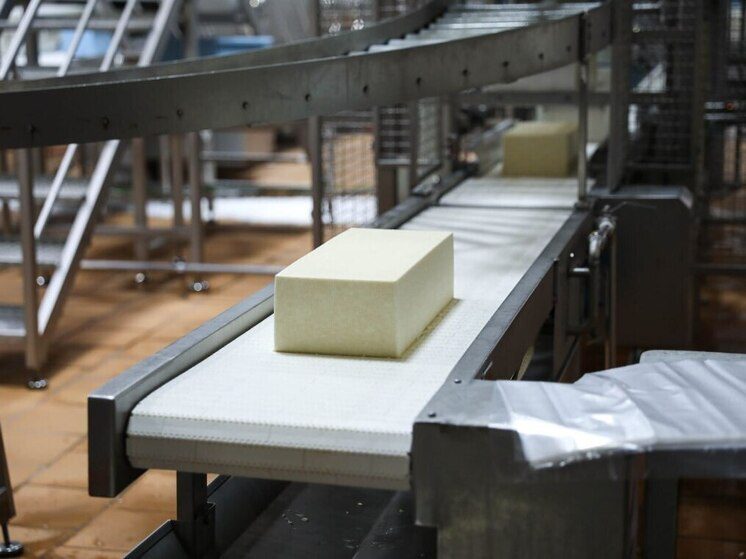 Ставропольские учёные разрабатывают рецептуру нового твердого сыра для диетического питания