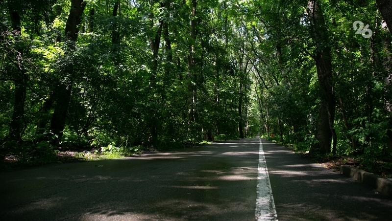 Субботники проведут на Ставрополье к Пасхе по поручению губернатора