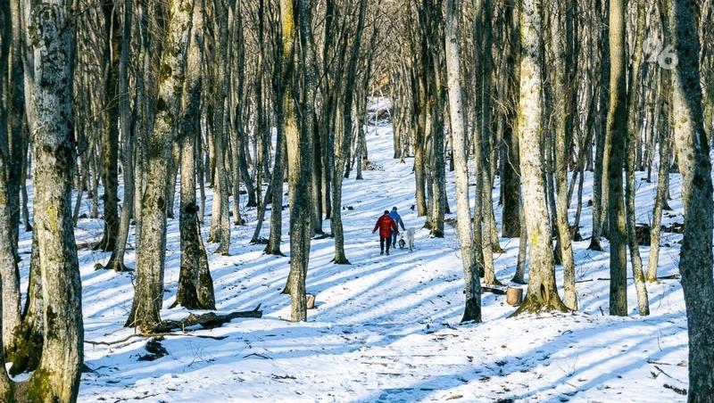 Существенное потепление на Ставрополье придёт в середине февраля &mdash; Гидрометцентр