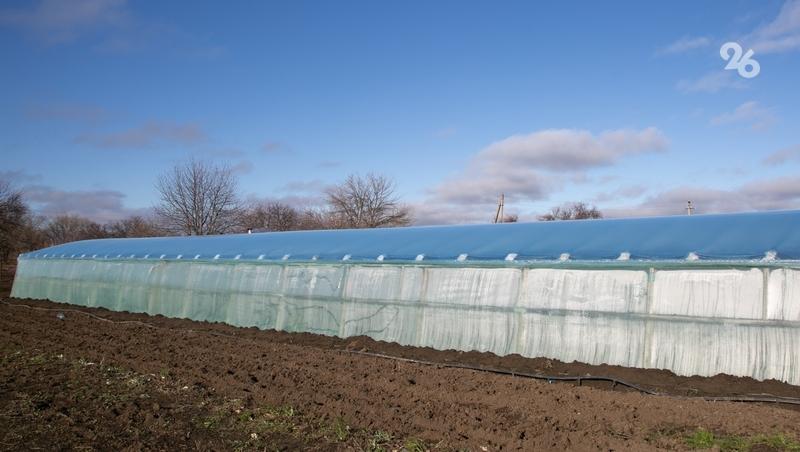 Теплицы для круглогодичного выращивания огурцов строят в Предгорном округе