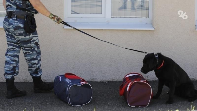 Учеников лицея №6 в Ессентуках распустили по домам из-за угрозы минирования