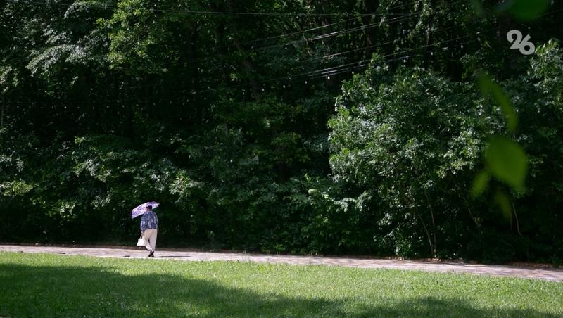 В 13 территориях Ставрополья стартовал сезон благоустройства парков