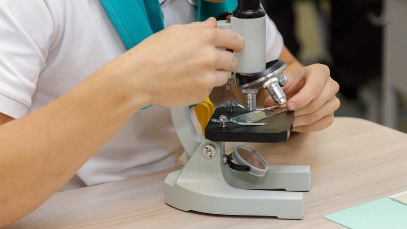 В 2026 году в школах Ставрополья откроют 22 агрокласса