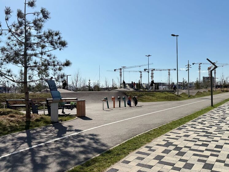 В Грозном появится новый лесопарк на Петропавловском шоссе