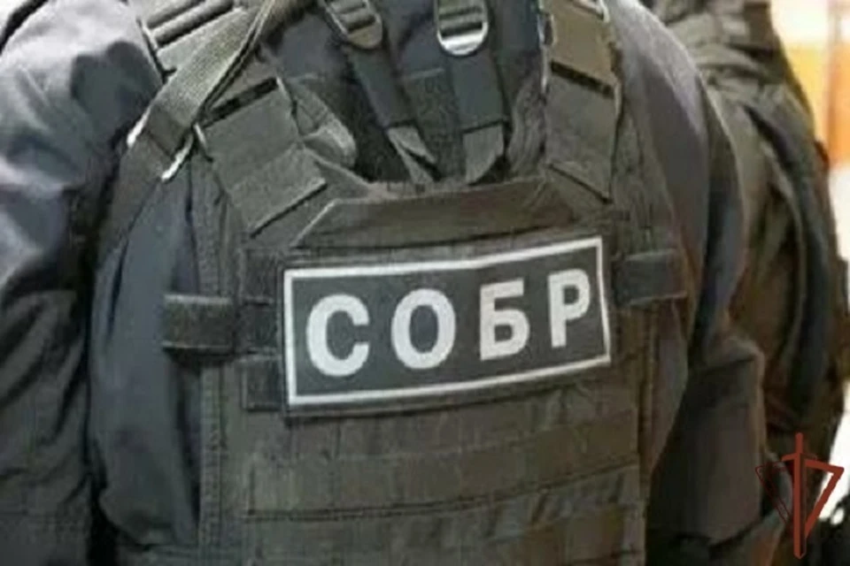 В Ингушетии задержали пятерых подозреваемых в пособничестве террористам0